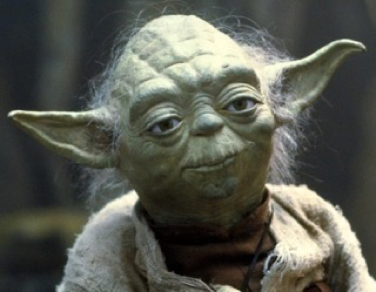 yoda