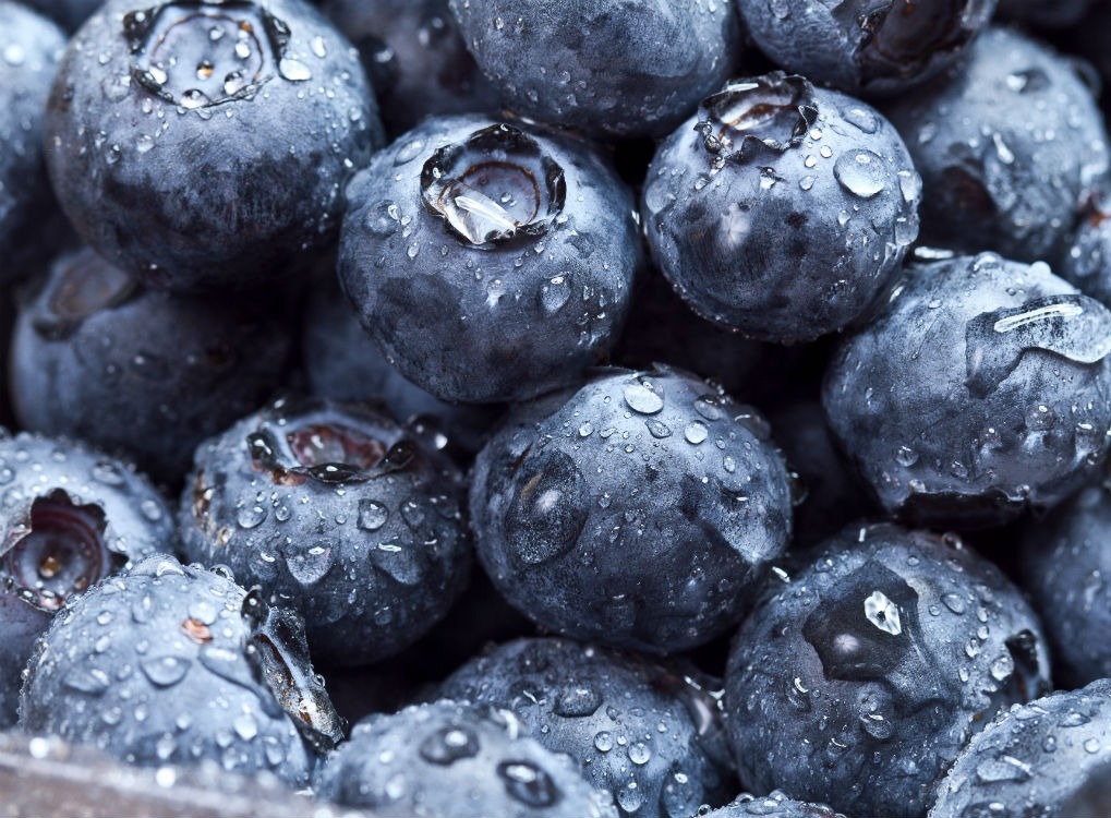 closeup of freshly washed blueberries, state fact about maine