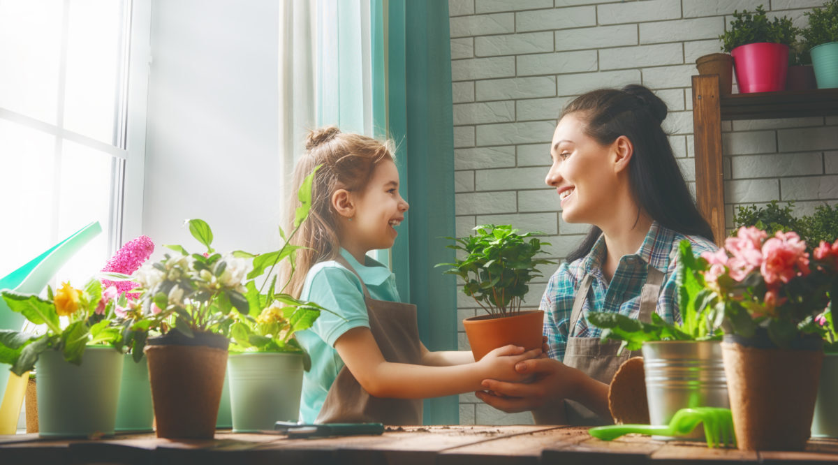 Home with Plants