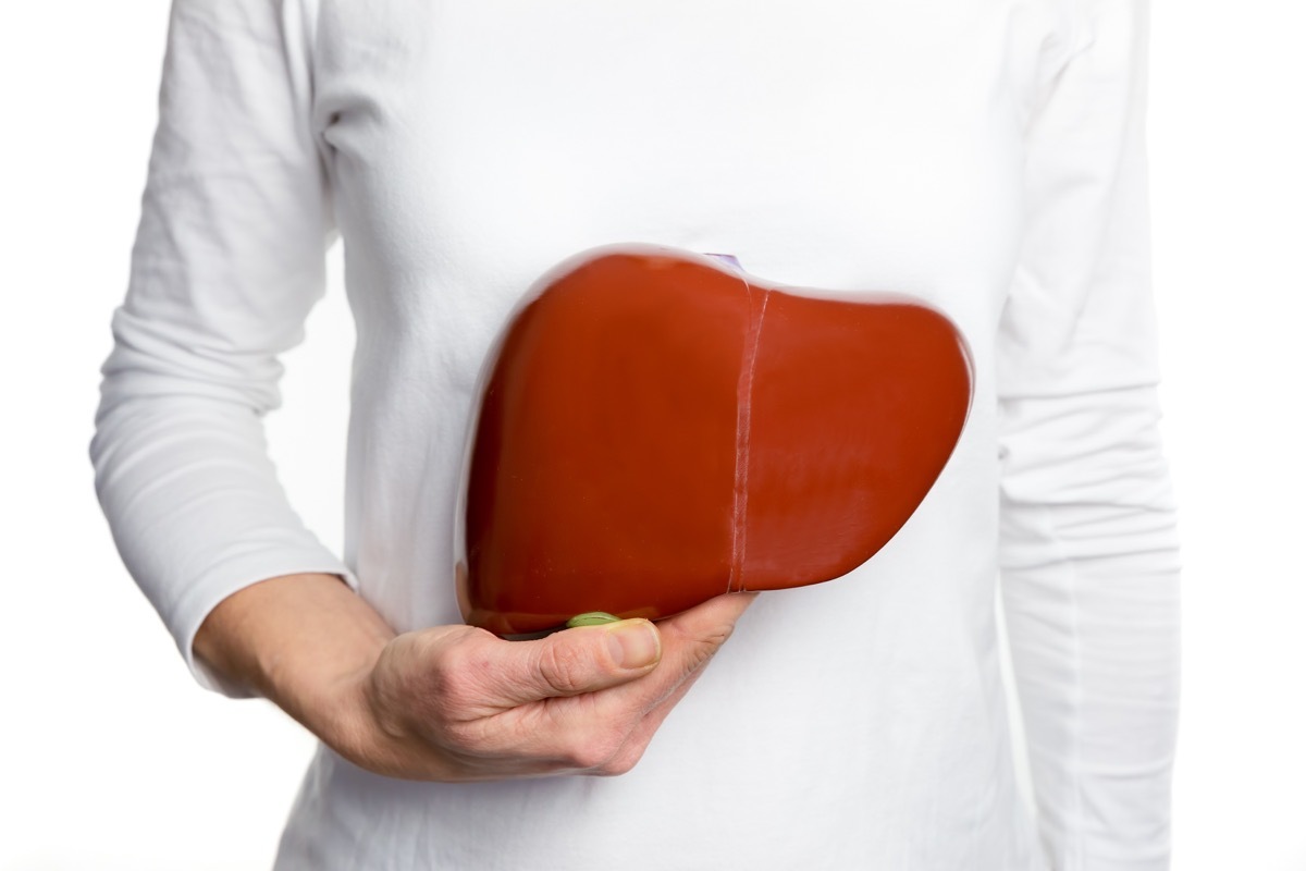 person holding liver model