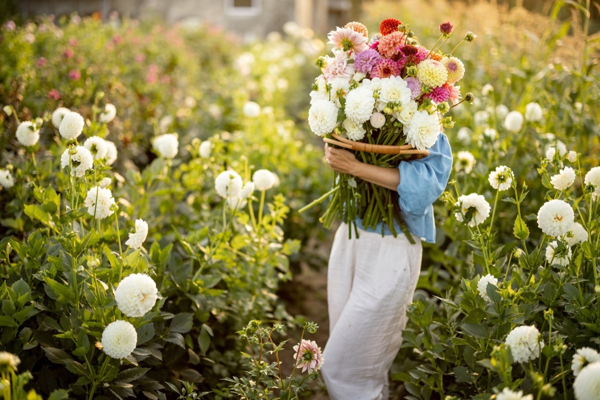 woman with lots of freshly picked flowers