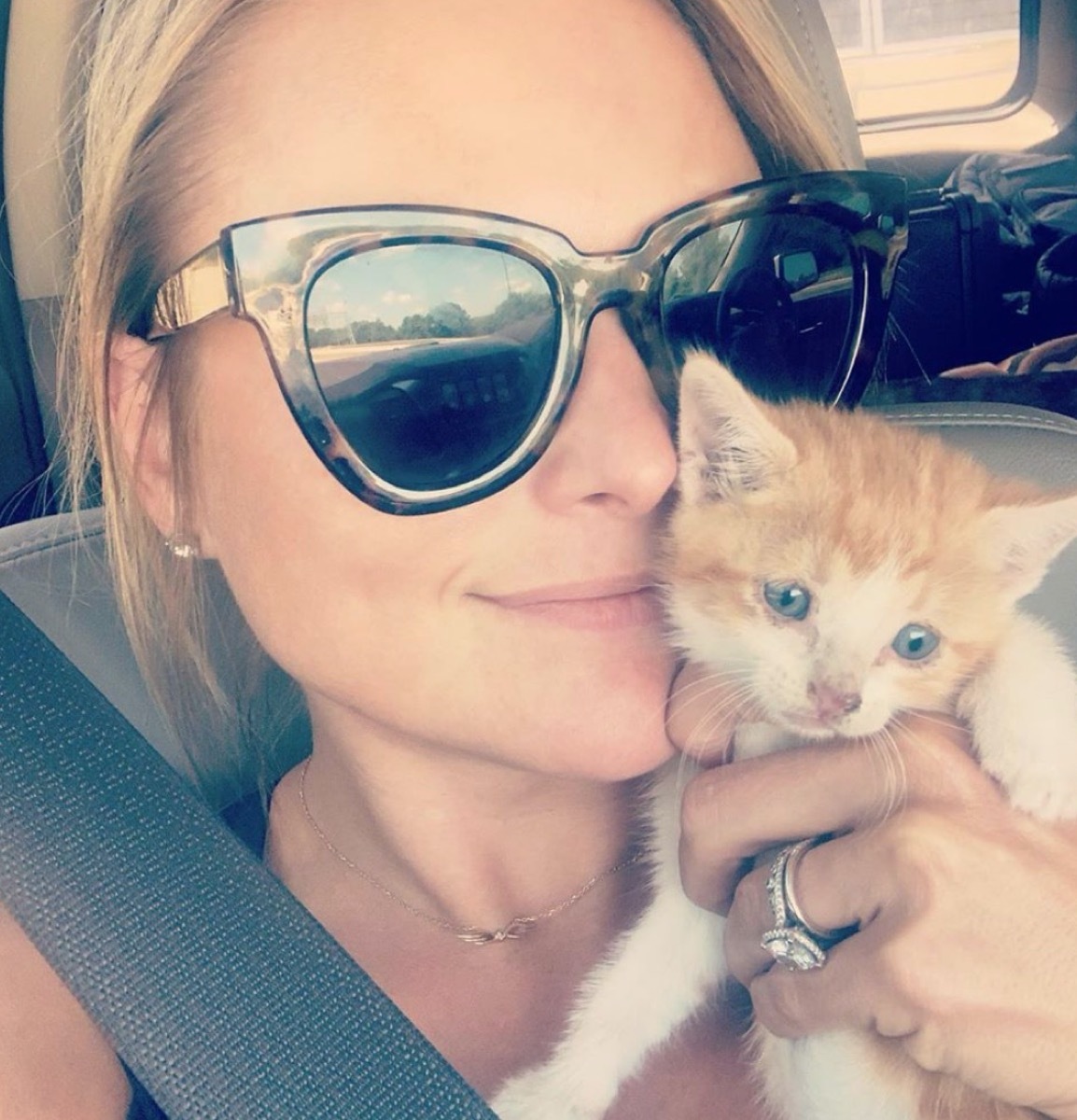 miranda lambert holding orange kitten