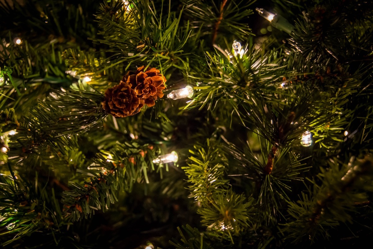 A pinecone on a Christmas tree